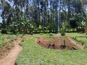 1.5 Acre in Kakamega