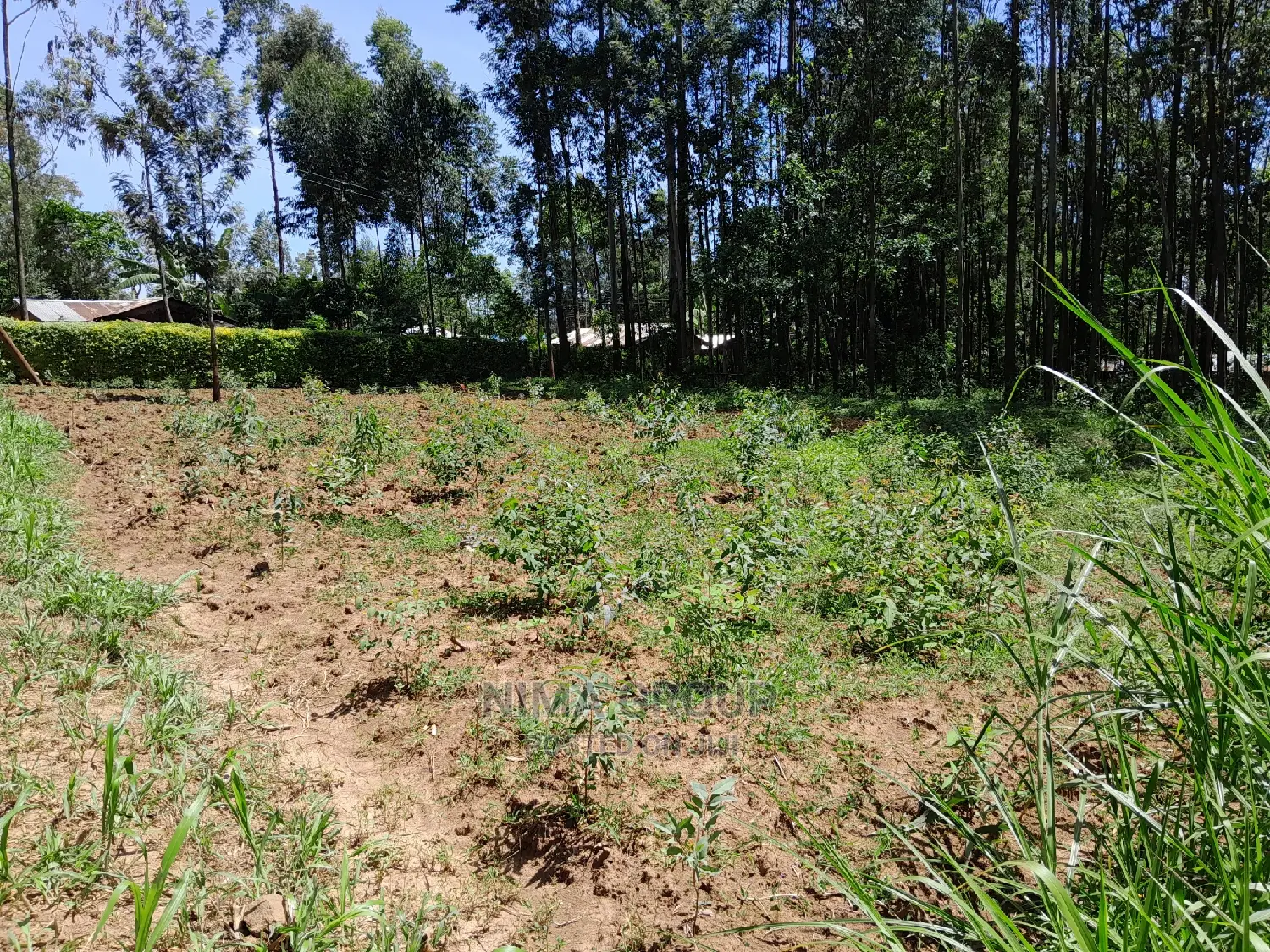 1.5 Acre in Kakamega