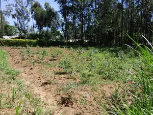 1.5 Acre in Kakamega