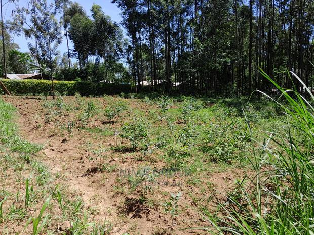1.5 Acre in Kakamega - thumbnail 3
