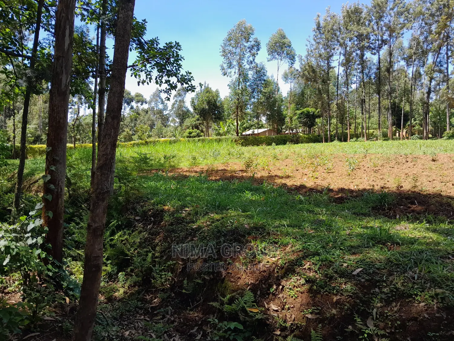 1.5 Acre in Kakamega