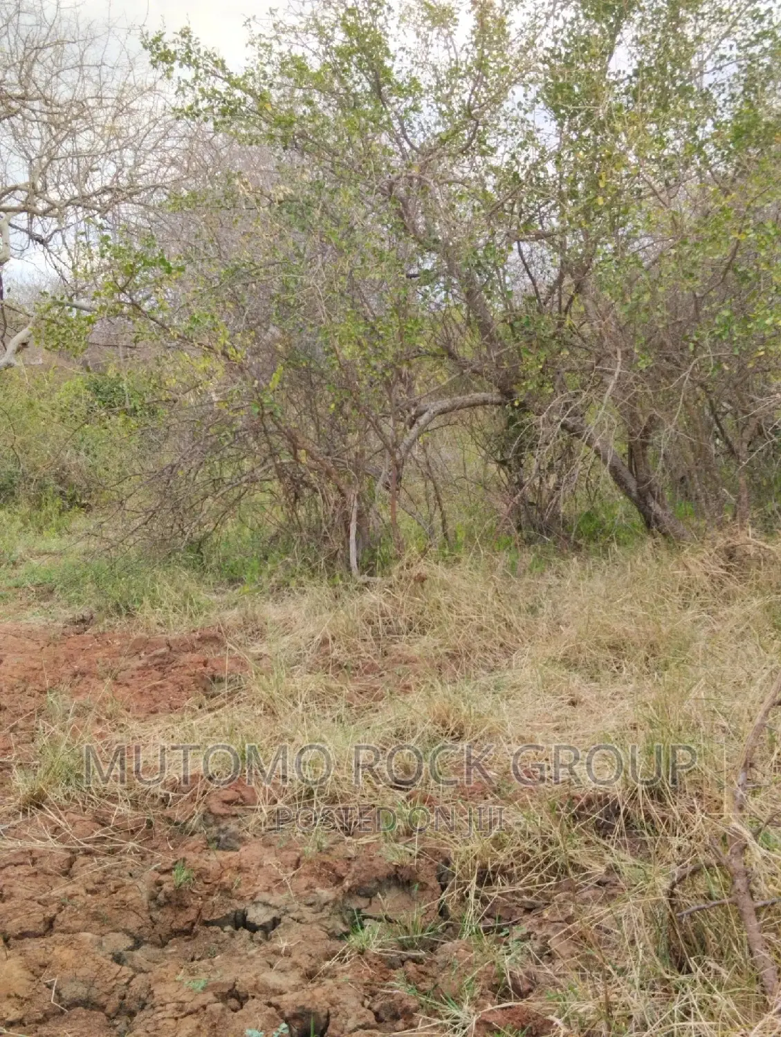 32acres for Sale