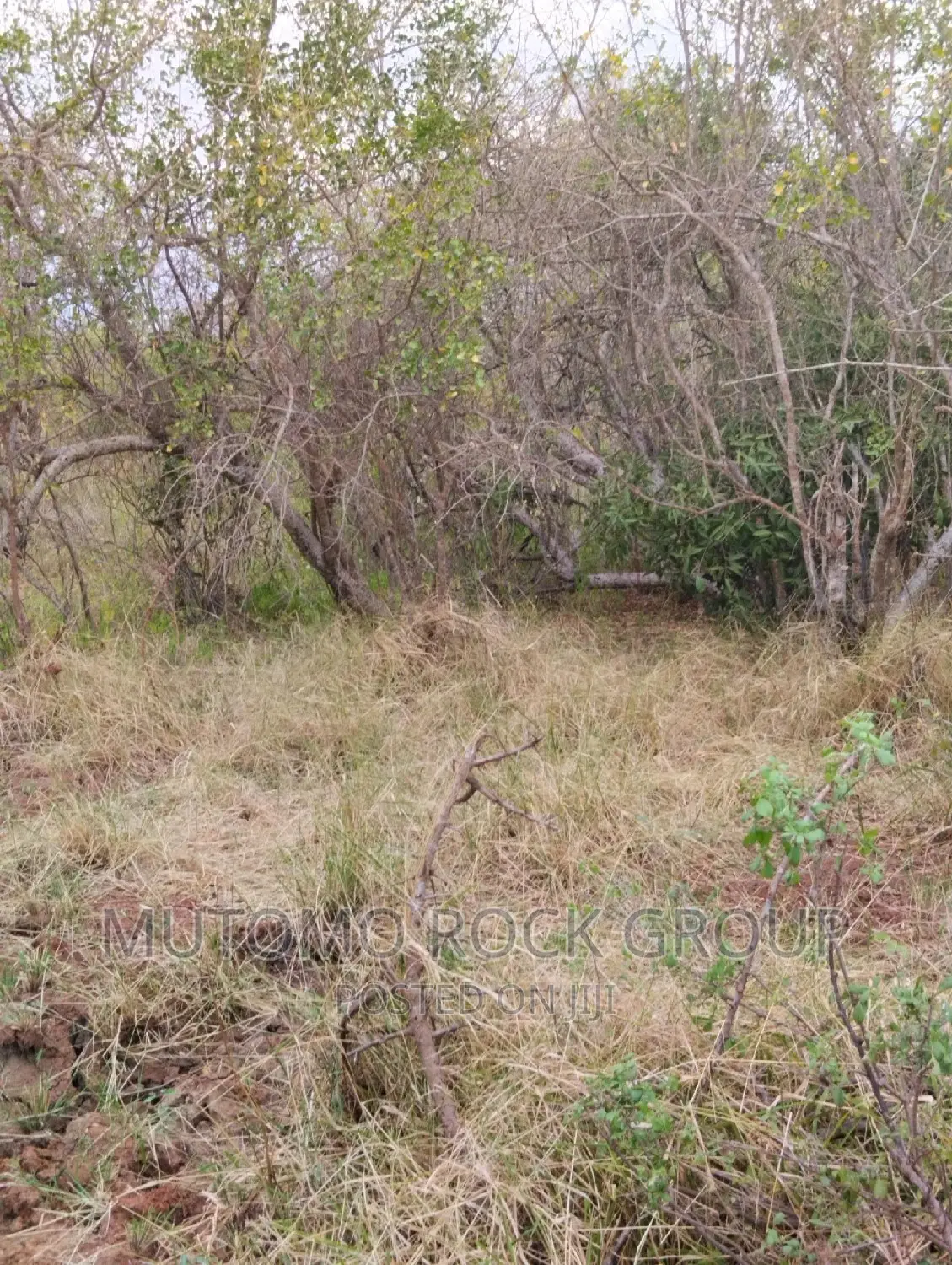 32acres for Sale