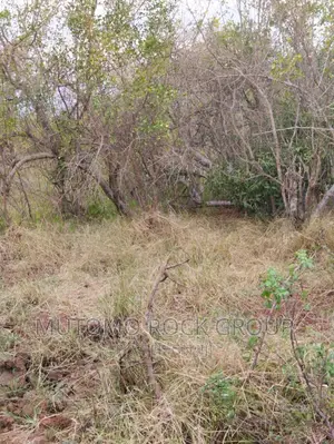 32acres for Sale