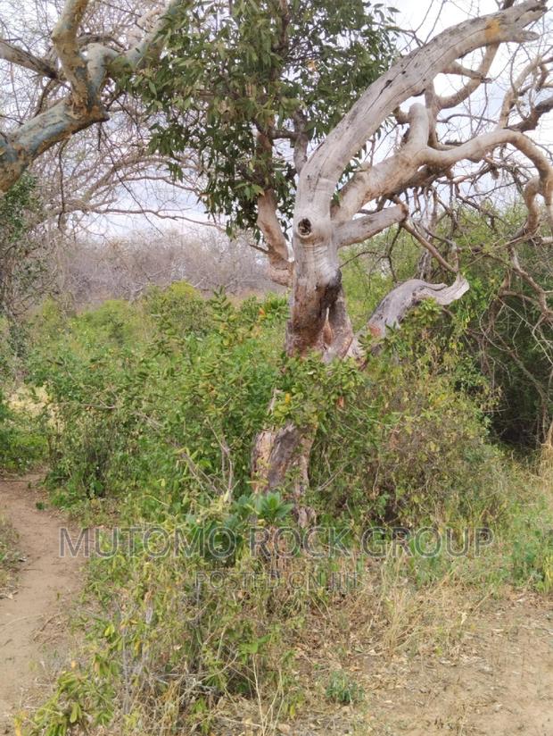 41 Acres For Sale - thumbnail 2