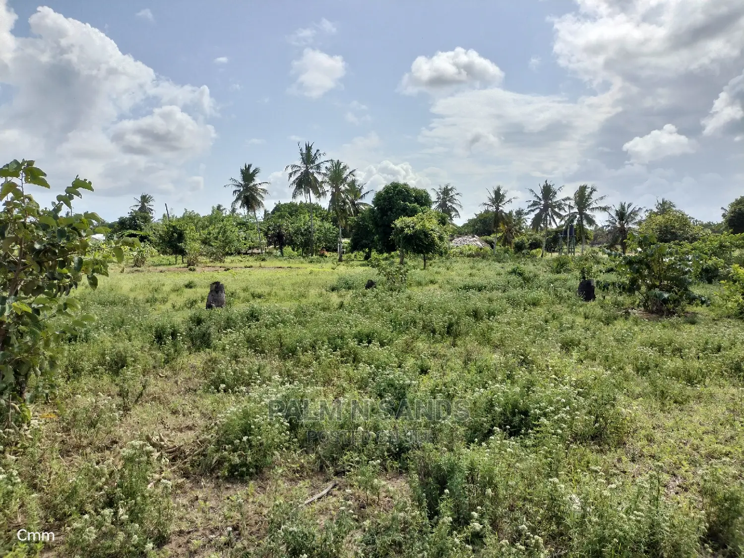 One Acre Prime Land in Kinondo