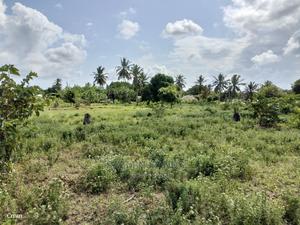 One Acre Prime Land in Kinondo - thumbnail 2
