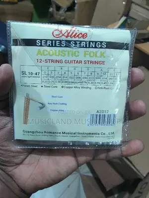 12 String Acoustic Guitar Strings