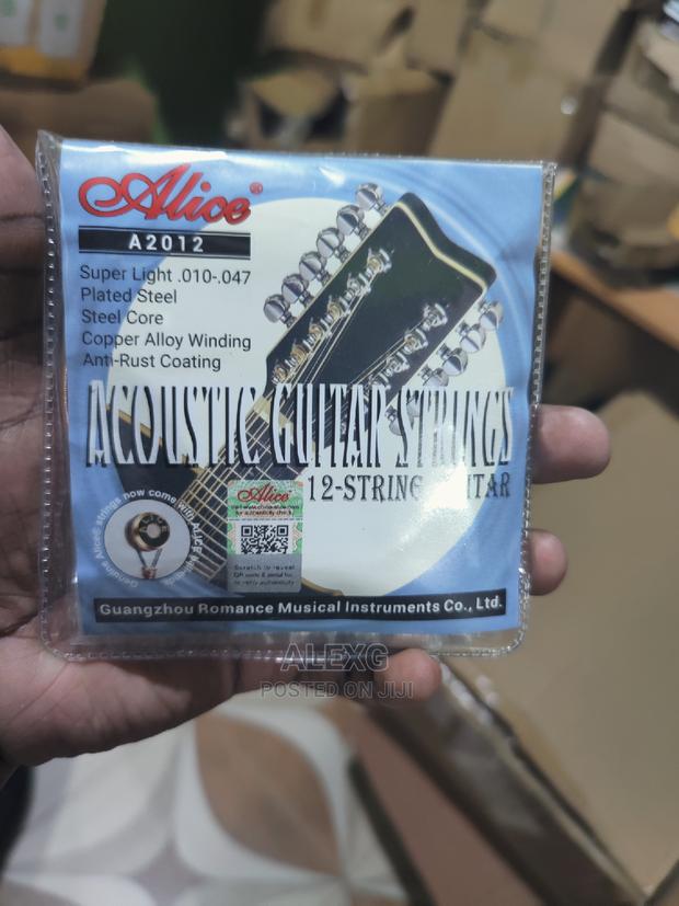 12 String Acoustic Guitar Strings - main view