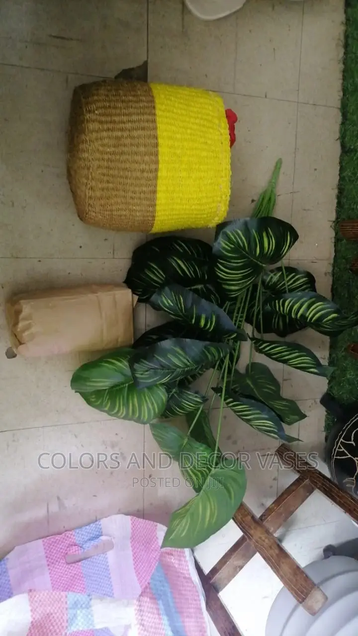 Plant Basket Stones