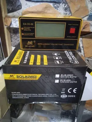 Trickle Battery Charger 10A 12v/24v Auto Recognition Car
