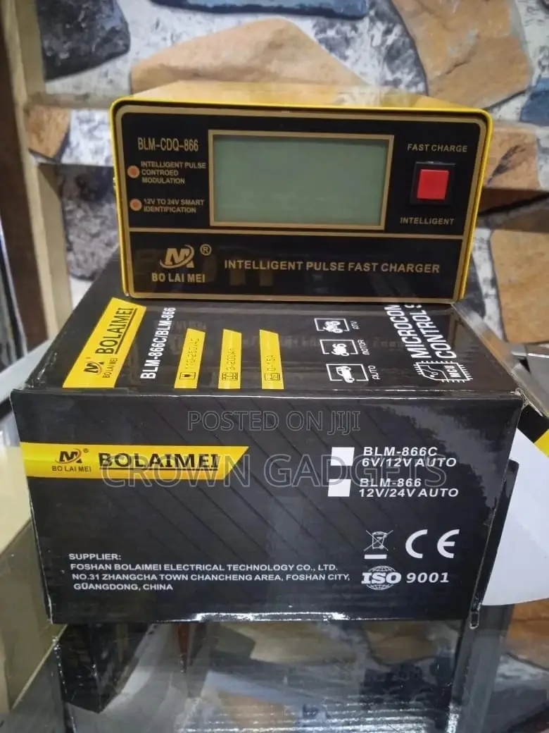 Trickle Battery Charger 10A 12v/24v Auto Recognition Car