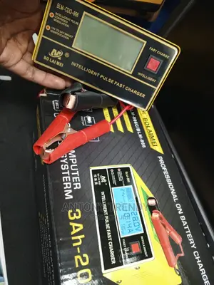 Bolaimei 12v/24v Intelligent Car Battery Fast Pulse Charger