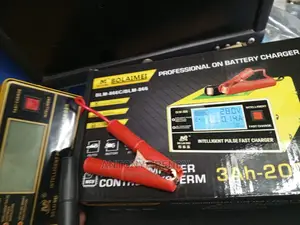 12v/24v Intelligent Car Battery Fast Pulse Charger
