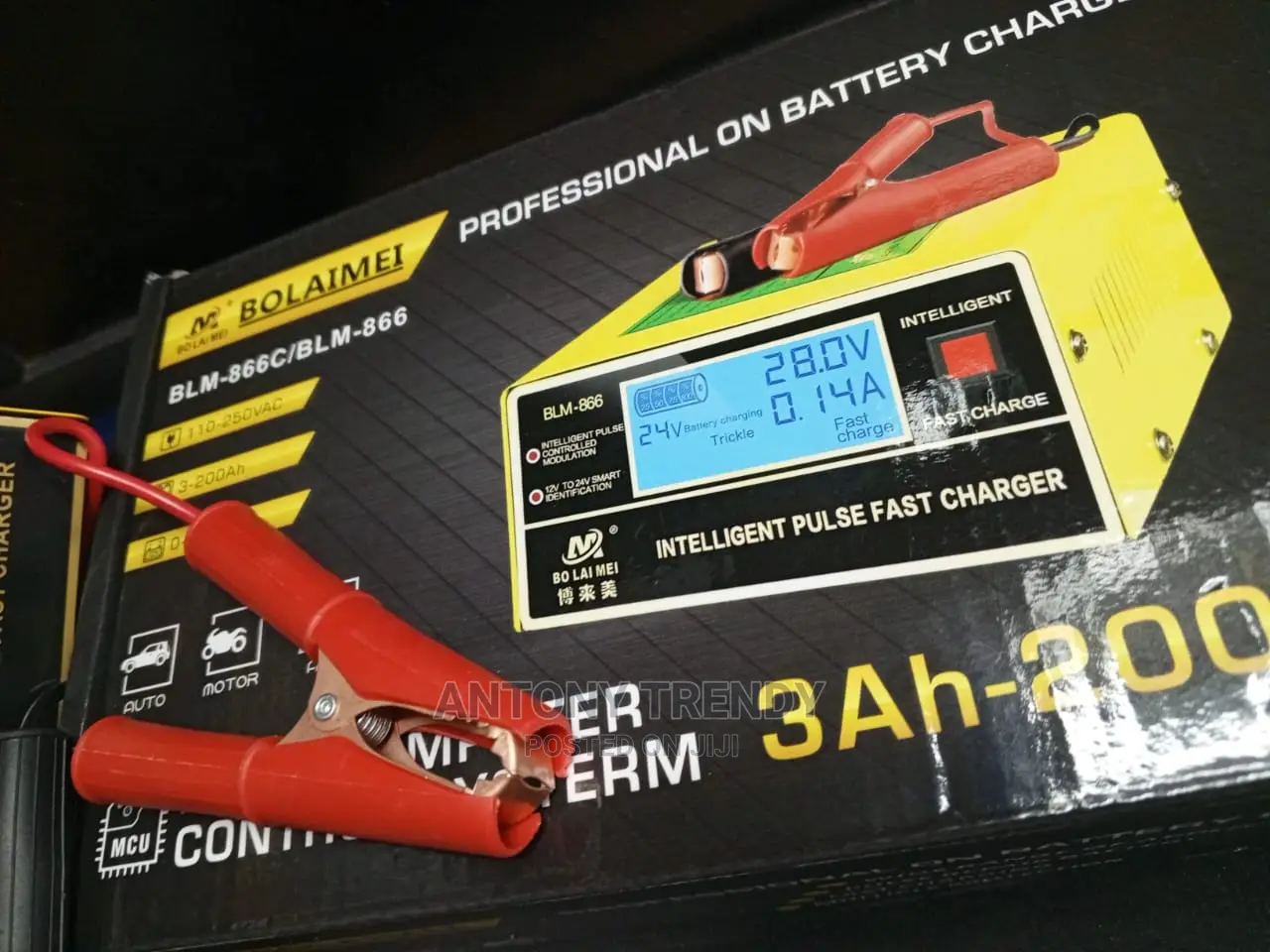 Generic Intelligent Fast Pulse Car Battery Charger 12v/24v