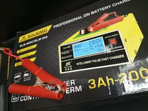 Generic Intelligent Fast Pulse Car Battery Charger 12v/24v