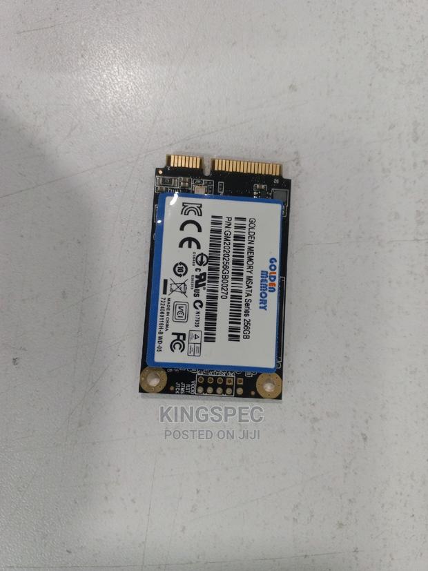 Golden Memory Msata Series 256gb