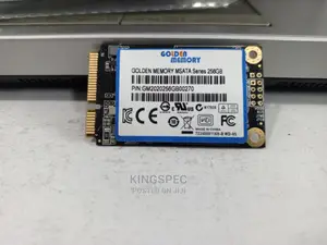 Golden Memory Msata Series 256gb