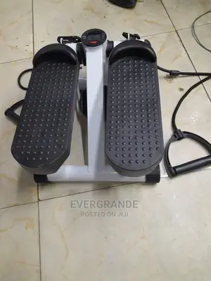 Exercise Machine Mini Stepper