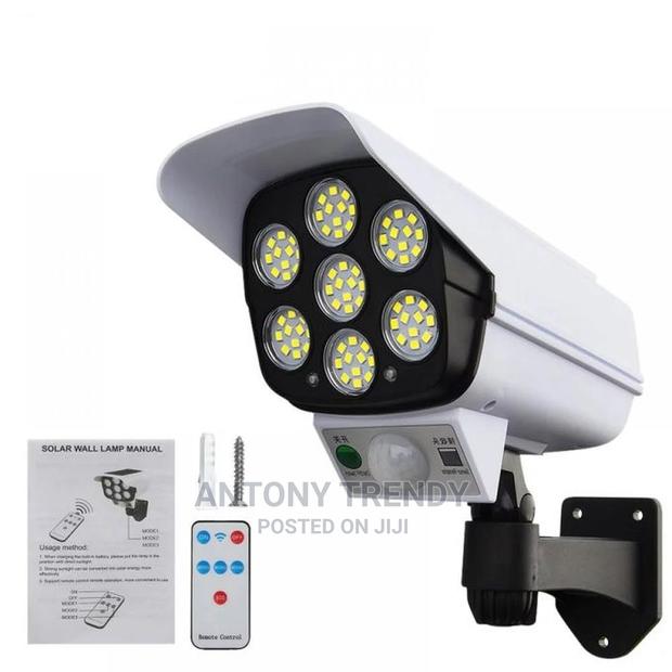 Motion Sensor Solar Light