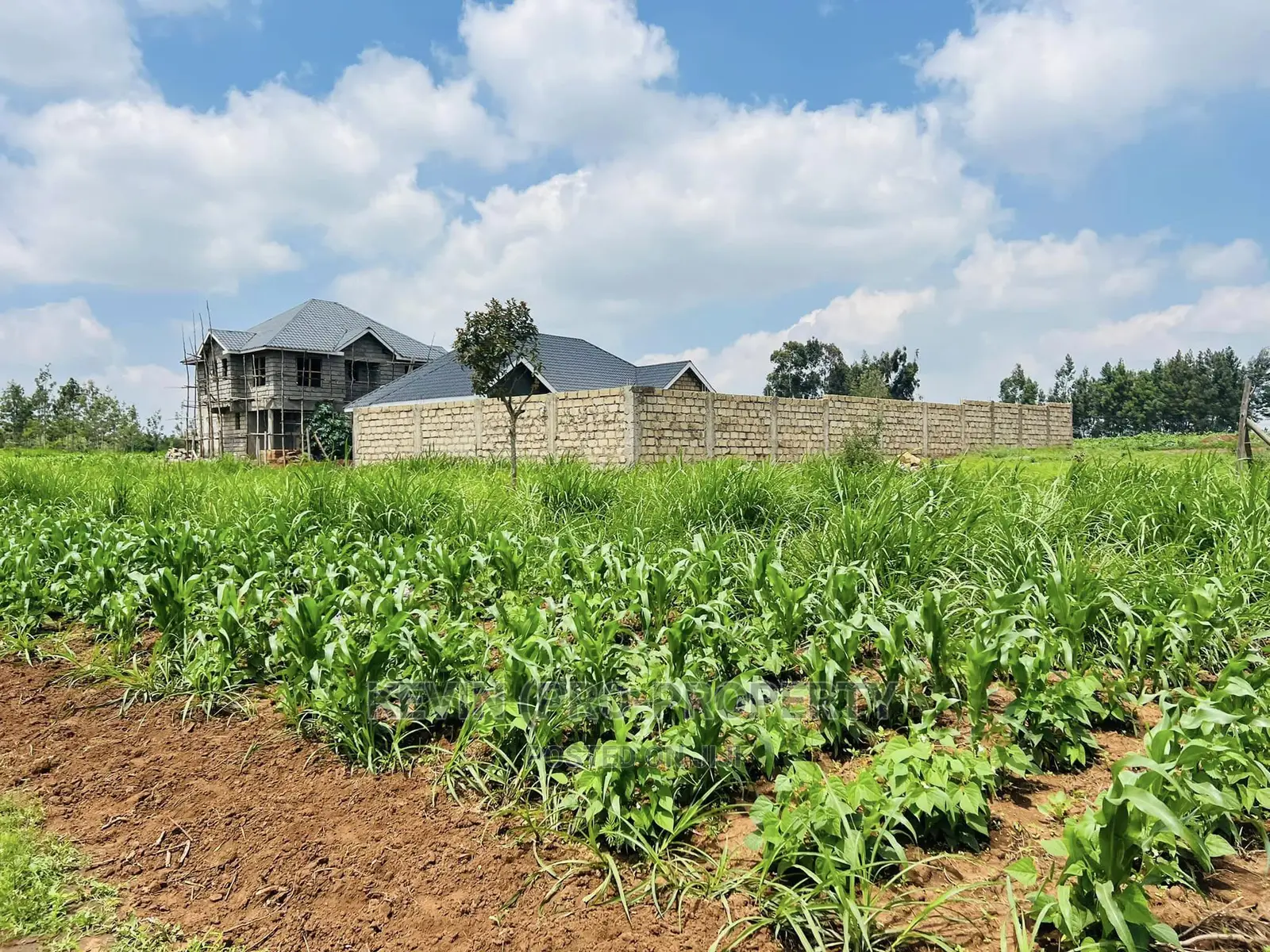 Prime 1/8 Acre Residential Plot for Sale in Kikuyu, Kamangu