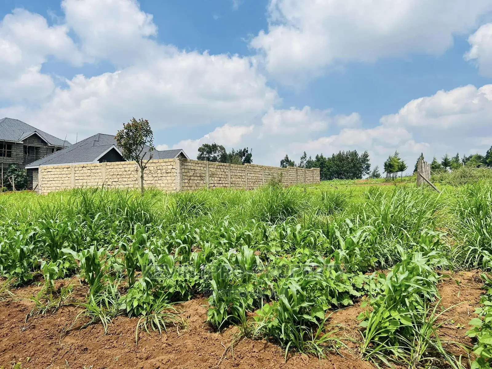 Prime 1/8 Acre Residential Plot for Sale in Kikuyu, Kamangu