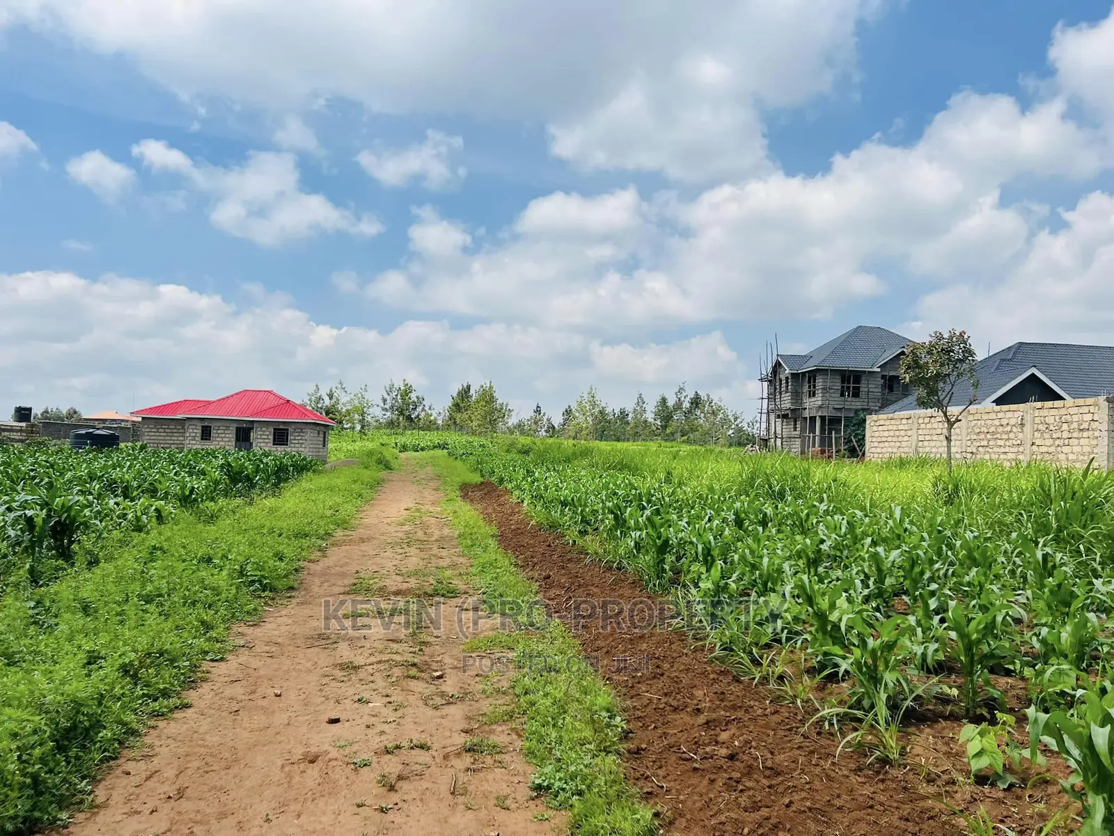 Prime 1/8 Acre Residential Plot for Sale in Kikuyu, Kamangu