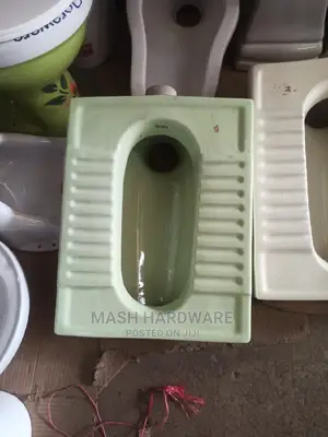 Orient Step Toilet