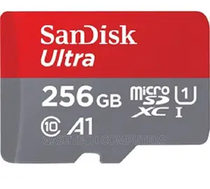 Sandisk Microsd Class 10 100mbps 256gb