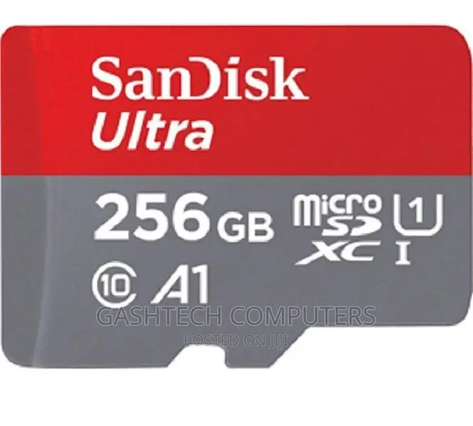 Sandisk Microsd Class 10 100mbps 256gb