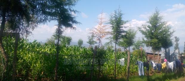 Plot for Sale 50*100 - thumbnail 3