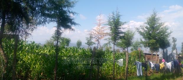 Plot for Sale 50*100 - thumbnail 4