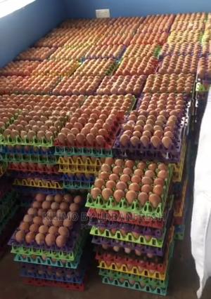 Table Eggs : Layers , Improved , Pure Kienyeji. Moq 10 Trays - thumbnail 2