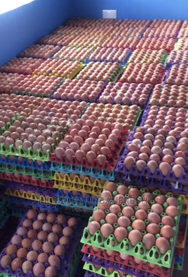 Table Eggs : Layers , Improved , Pure Kienyeji. Moq 10 Trays - thumbnail 3