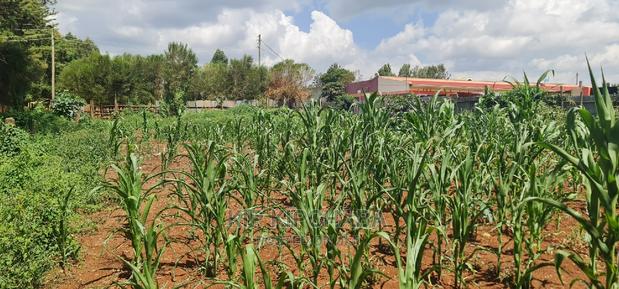 1⁄4 Plot For Sale In Kimumu Shell In Eldoret - thumbnail 3