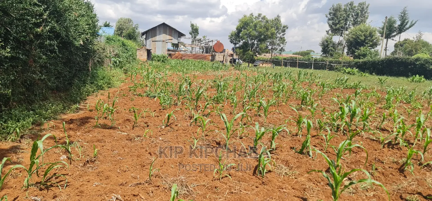 1⁄4 Plot For Sale In Kimumu Shell In Eldoret