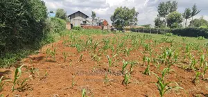 1⁄4 Plot For Sale In Kimumu Shell In Eldoret