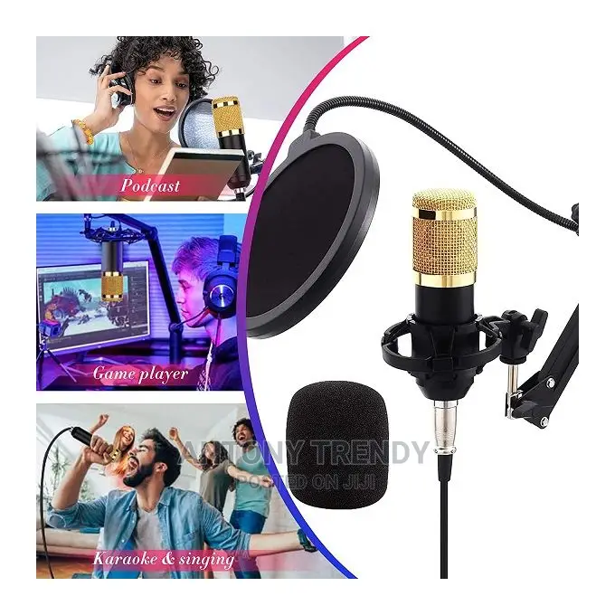 Multimedia Condenser Microphone Black
