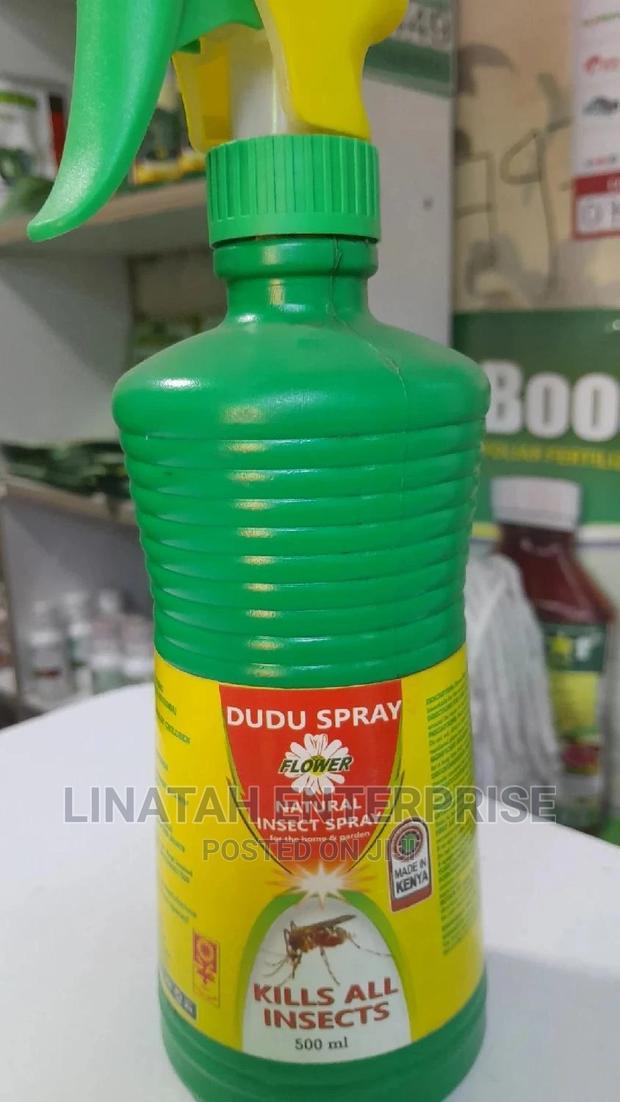 DUDUSPRAYER 500ml - main view