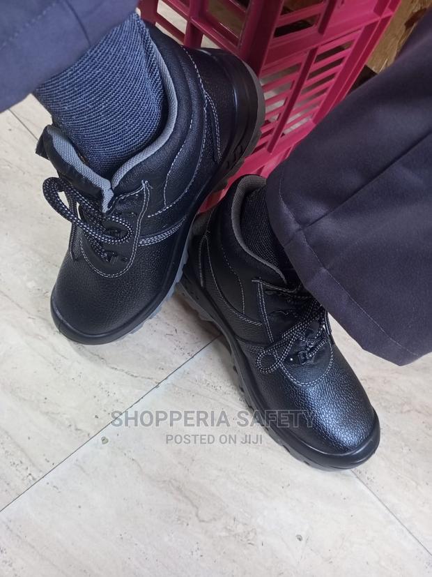 Tiger Master - main view