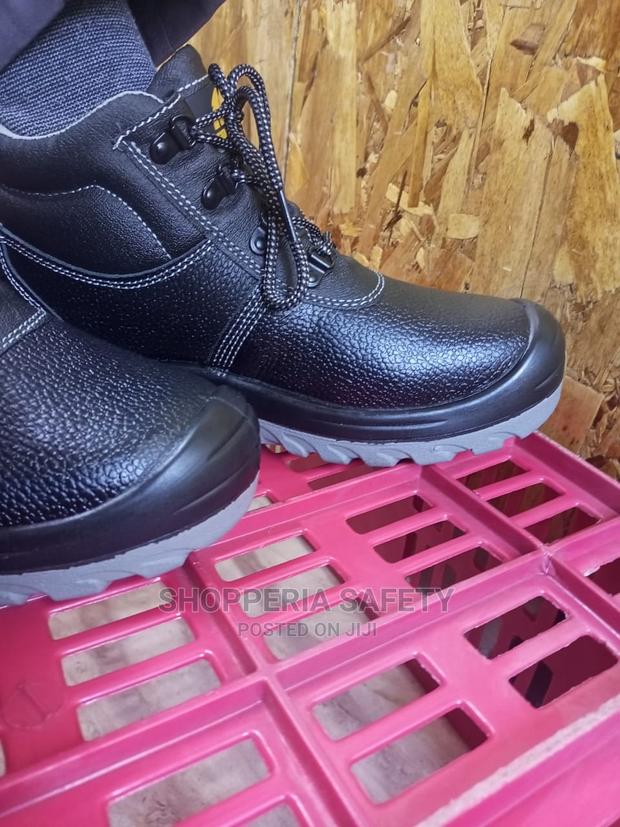 Tiger Master - main view