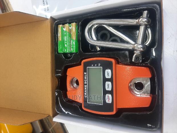 300kg Crane - main view