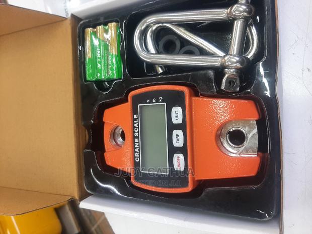 Mini Crane 300kg - main view