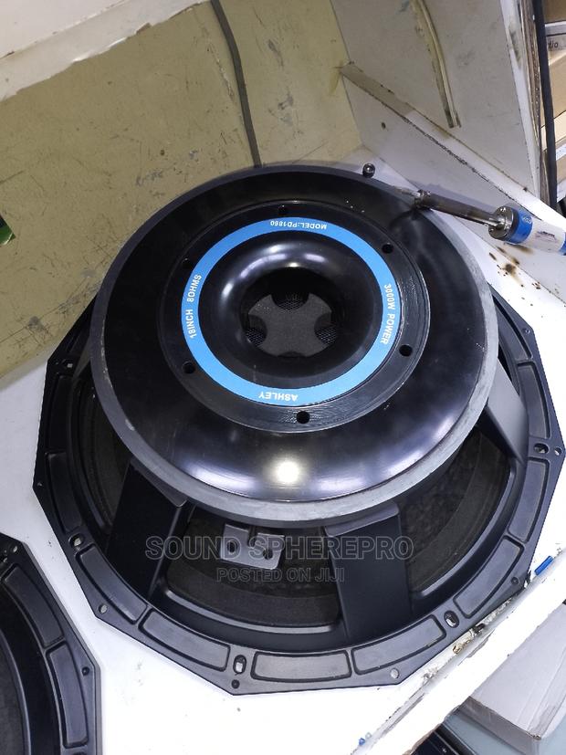 Ashley PD1860 Bass Speaker - main view