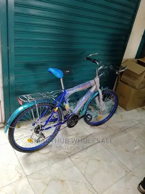 Bicycle Victory Size 24 With Gear