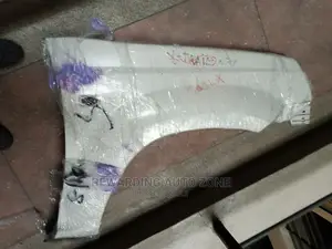 Ex Trail Nt30 2005 Fenders.
