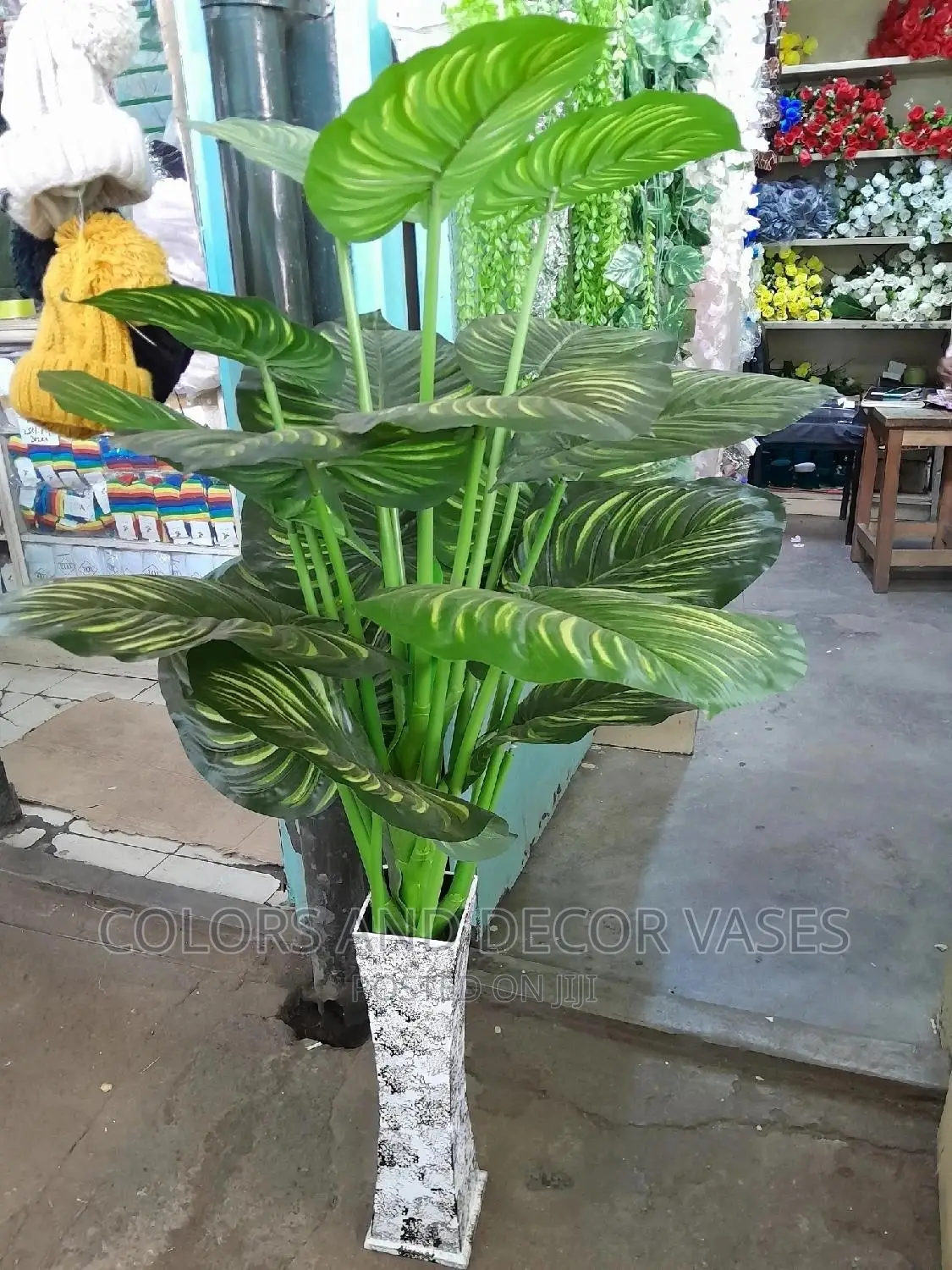 Long Plant+ Wooden Vase