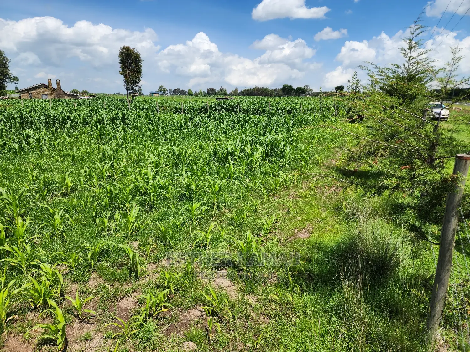 Prime Land for Sale - 0.6 Acres at Kiganjo on Tarmac