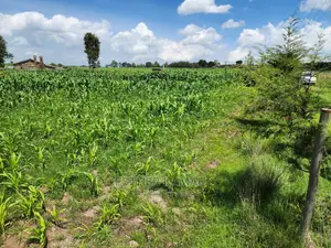 Prime Land for Sale - 0.6 Acres at Kiganjo on Tarmac