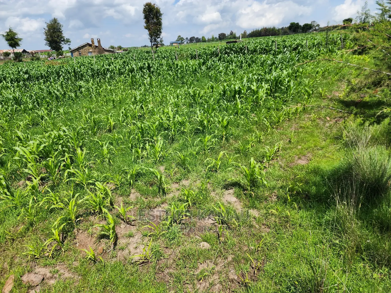 Prime Land for Sale - 0.6 Acres at Kiganjo on Tarmac